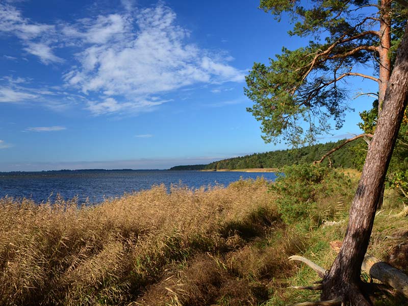 Blick auf das Meer Rügen